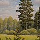 Картина, холст, масло "Сенокос". Картины. Вячеслав Бурмистров (художник). Ярмарка Мастеров.  Фото №4