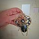 Scarab beetle wire wrap pendant, Pendants, Bratsk,  Фото №1