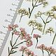 Сухоцвет плоский озотамнус #2. Сухоцветы для творчества. wow_flowers_26. Ярмарка Мастеров.  Фото №4