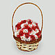 Flower basket with coral
