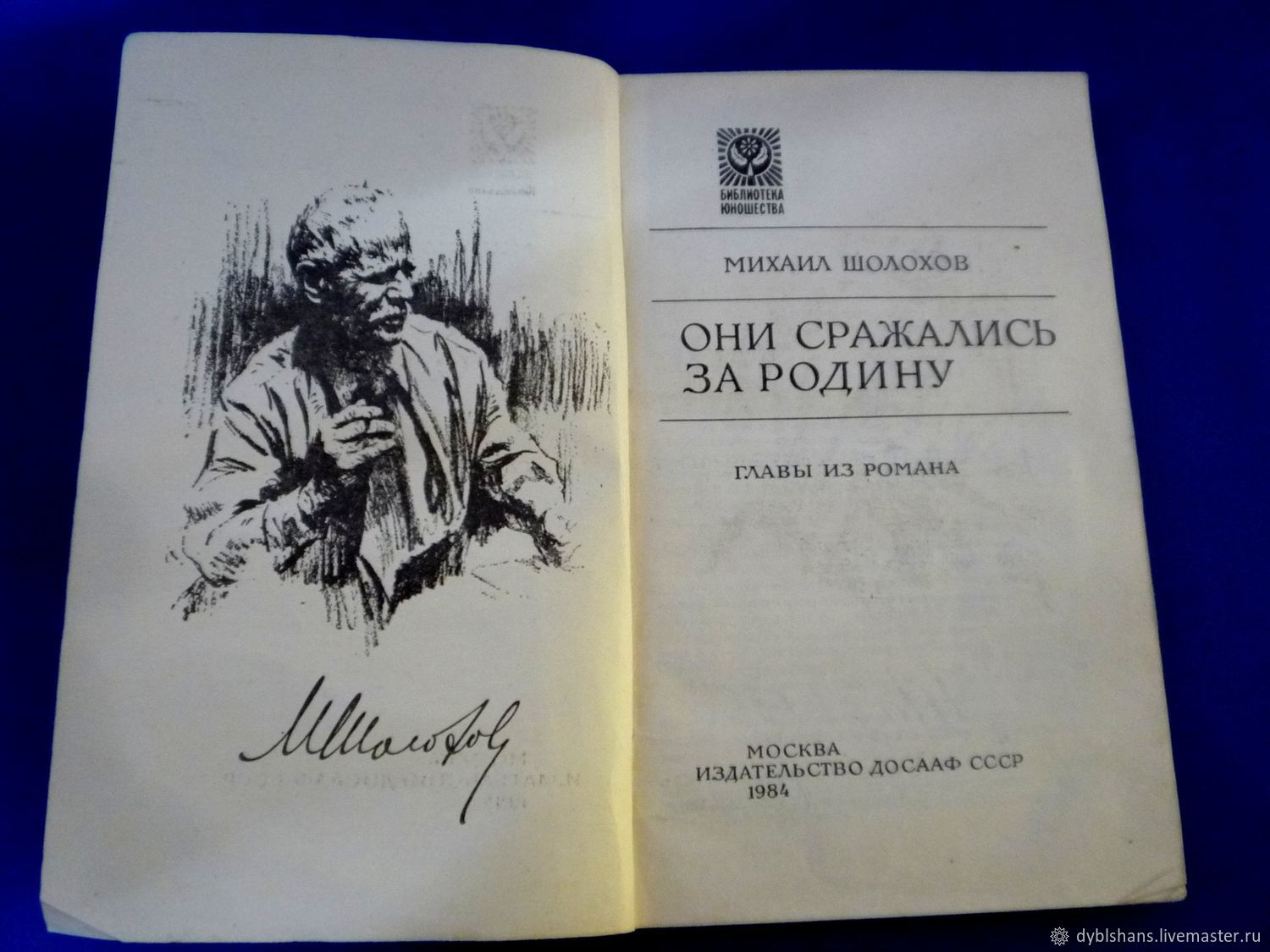 Они сражались за родину шолохов план