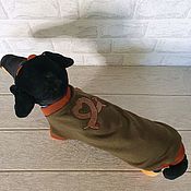 Зоотовары handmade. Livemaster - original item Clothes for dogs, dachshunds and cats Sweatshirt with embroidery. Handmade.