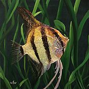 Картины и панно handmade. Livemaster - original item Oil painting. Exotic fish No. №3. Handmade.