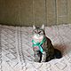 Кошка. Мягкая подвижная игрушка на заказ по фото кошки, кота. Мягкие игрушки. Игрушки на заказ по фото питомцев.. Ярмарка Мастеров.  Фото №4