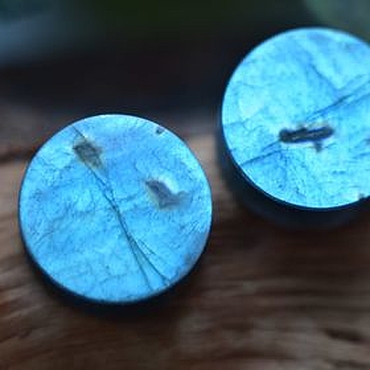 Украшения ручной работы. Ярмарка Мастеров - ручная работа Плаги из лабрадора. Handmade.