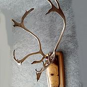 Для дома и интерьера handmade. Livemaster - original item wall hanger, antler, deer antler. Handmade.