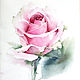Акварельная картина "Светло розовая роза", Картины, Москва,  Фото №1