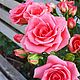 Букет кустовых роз из полимерной глины, холодный фарфор, Букеты, Уфа,  Фото №1