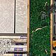 Озеленение стабилизированными растениями. Элементы интерьера. dmdecor61. Ярмарка Мастеров.  Фото №4