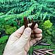 Курипе из цельного дерева. Тамаринд. Трубка для рапэ. Shamanic-staff. Интернет-магазин Ярмарка Мастеров.  Фото №2