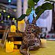 Фигурка интерьерная корень Мандрагоры Harry Potter mandragora. Интерьерная кукла. LAVKA Katrin. Ярмарка Мастеров.  Фото №5