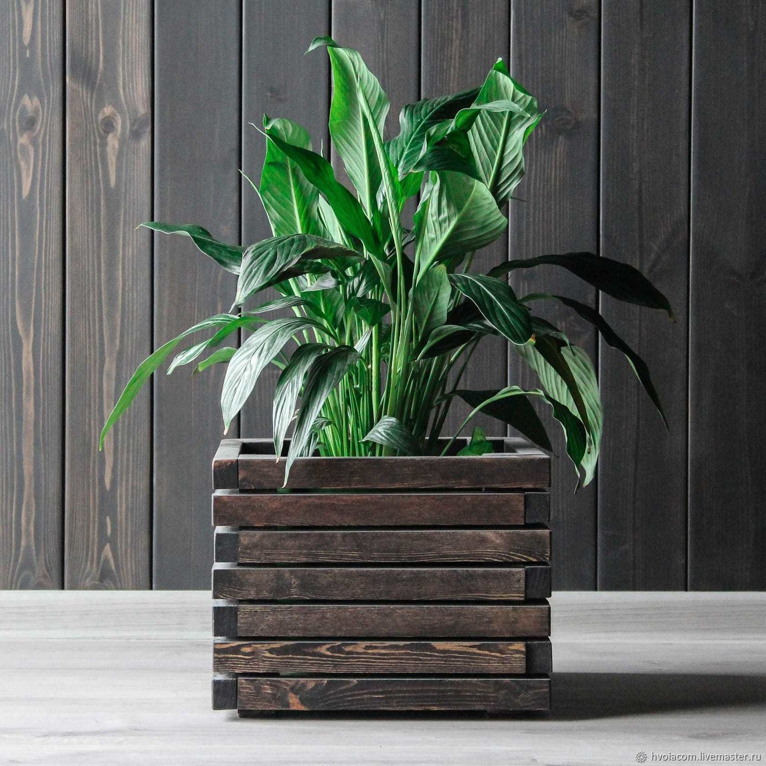 Garden Plants Интернет Магазин Растений Отзывы Покупателей