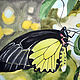  Жёлтый, чёрный. "Бабочка лимонная", Картины, Севастополь,  Фото №1