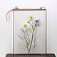the herbarium in the glass. Herbarium of flowers in a frame. Chamomile and cornflowers. Suspension. Glass Flowers. My Livemaster. Фото №4