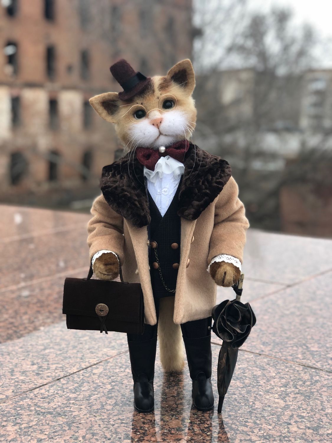 Кот джентльмен. Кот в пальто. Кот в пальтишке игрушка. Игрушки в пальто. Мышь в пальто.