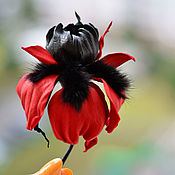 Украшения handmade. Livemaster - original item Red and black Iris flower brooch made of leather with mink fur. Handmade.