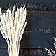 Пшеница отбеленная. Сухоцветы. Сухоцветы для творчества. Sukhocveti. Южные сухоцветы.. Ярмарка Мастеров.  Фото №4