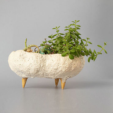 Горшочек для молодого денежного дерева – заказать на Ярмарке Мастеров ...