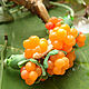 Колье морошка Бусы ягода ягоды cloudberry cloudberries polymer clay, Колье, Санкт-Петербург,  Фото №1