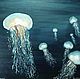 Oil painting 50h60 jellyfish, Pictures, Moscow,  Фото №1