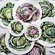 The painted porcelain.A collection of dishes 'Cabbage', Plates, Kazan,  Фото №1