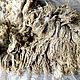 Gotland blanco y gris claro #1498. Felting materials. nzwool. My Livemaster. Фото №4