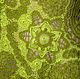 Knitted openwork tunic 'Fantasy in soft green tones'. Tunics. Studio by Varvara Horosheva (varvara911). My Livemaster. Фото №4