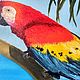 Painting with a parrot, oil ' macaw'. Pictures. Arthelenkey (earthelenkey). Online shopping on My Livemaster.  Фото №2