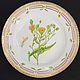 Винтаж:  Тарелка Royal Copenhagen Флора Даника Фарфор / 2807. Тарелки винтажные. Phoenix Antique • Феникс Антик. Ярмарка Мастеров.  Фото №11
