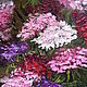 Picture Summer flowers (Turkish carnation). Pictures. Paint with Love (lotmarket). Online shopping on My Livemaster.  Фото №2