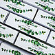 'Eucalyptus' gift packaging. Bonbonniere. Evrica (Evrica). My Livemaster. Фото №5