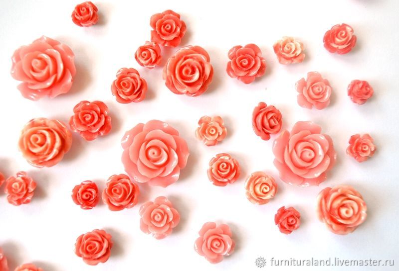 Розы коралловые (73 фото)