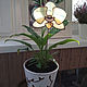 "Орхидея желтая" витраж-декор для цветов, Витражи, Москва,  Фото №1