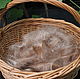 Goat fleece Angora washed dyed silky. Fiber. YarnRus creative farm (Yarnrus). Online shopping on My Livemaster.  Фото №2