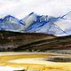 Осенние степи. Картины. Александра Поданева (ArtSandra). Интернет-магазин Ярмарка Мастеров.  Фото №2
