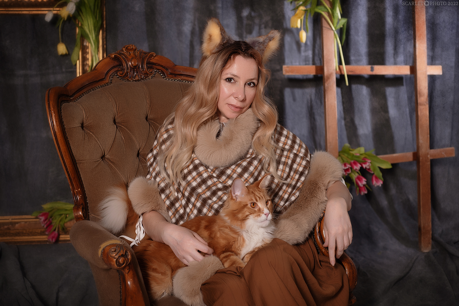 Люблю котиков 