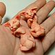 Котоброши из полимерной глины. Брошь-булавка. Ксения Чугункова (Nastroeniecveta). Ярмарка Мастеров.  Фото №6