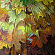 Painted Large Umbrella-cane Golden Autumn. Umbrellas. UmbrellaFineArt. My Livemaster. Фото №5