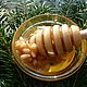 Мёд цветочный с кедровыми орешками 250 г. Мёд натуральный. Промёд. Ярмарка Мастеров.  Фото №5