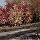 Осень. По над Доном, Картины, Волгодонск,  Фото №1