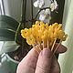 Заказать  миниатюра для ватных игрушек. Кукольный Мир. Ярмарка Мастеров. . Аксессуары для кукол и игрушек Фото №3