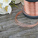 0,2 mm copper wire, Wire, Moscow,  Фото №1