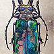 Интерьерная картина "Beetle". Картины. ElenaDodoka. Интернет-магазин Ярмарка Мастеров.  Фото №2
