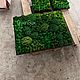 Заказать Фитопанно | Панно из мха 80*60см. Green.Box. Ярмарка Мастеров. . Панно Фото №3