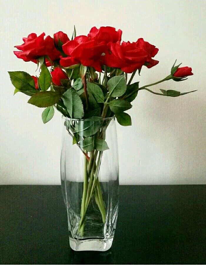 Как менять воду в розах вазе. Розы в вазе. Розы в прозрачной вазе. 3 Розы в вазе. Красные цветы в вазе.