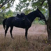 Зоотовары handmade. Livemaster - original item Kabardian (Circassian) saddle set with decorated harness. Handmade.