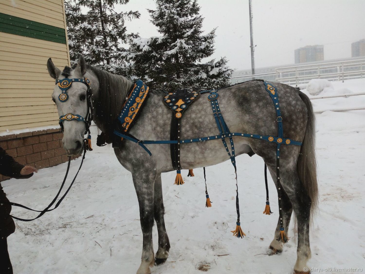 Конская сбруя фото