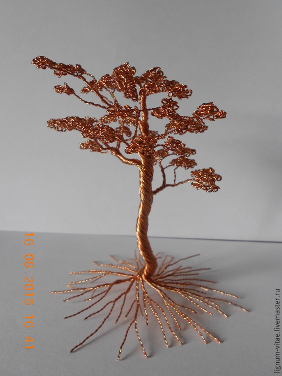 Разбивающийся бокал. Хрупкое дерево. Хрупкое дерево. Сохранение природы. Аватар со смыслом.