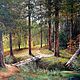  Cozy forest _ Landscape maslom Chernov, Pictures, Stary Oskol,  Фото №1