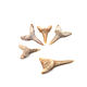 Fossilized shark tooth 20-30 mm 5 pcs. Folk decorations. merlin-hat (Merlin-hat). Online shopping on My Livemaster.  Фото №2